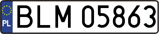 BLM05863