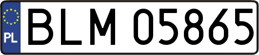 BLM05865