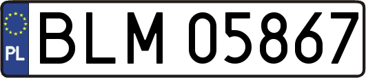 BLM05867