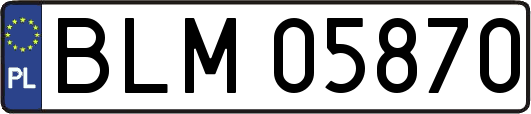BLM05870