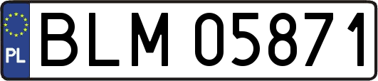 BLM05871