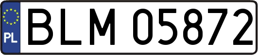 BLM05872
