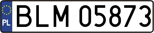 BLM05873