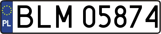 BLM05874