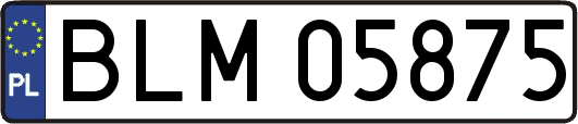 BLM05875