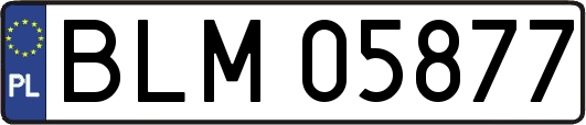 BLM05877
