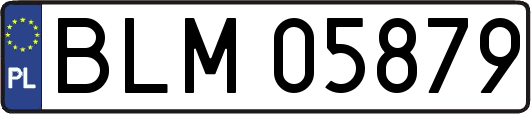 BLM05879
