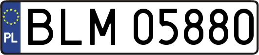 BLM05880