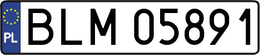 BLM05891
