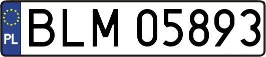 BLM05893