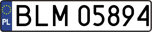 BLM05894