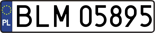 BLM05895