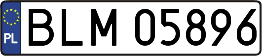 BLM05896