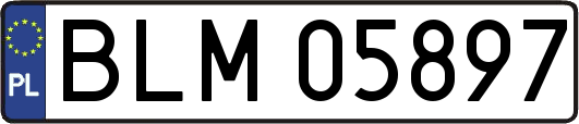 BLM05897