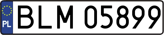 BLM05899