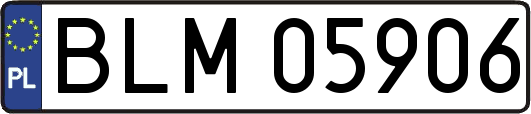 BLM05906