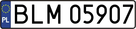 BLM05907