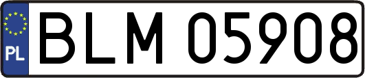 BLM05908