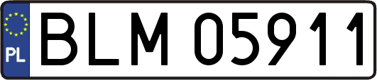 BLM05911