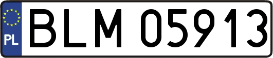 BLM05913