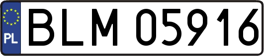 BLM05916