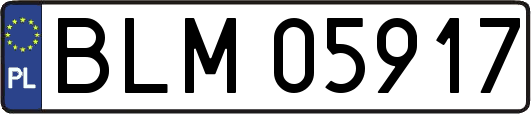BLM05917