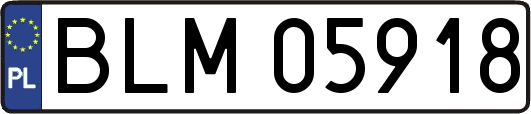 BLM05918