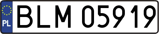 BLM05919