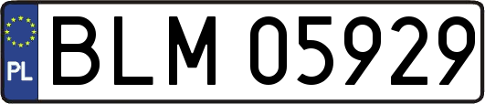 BLM05929