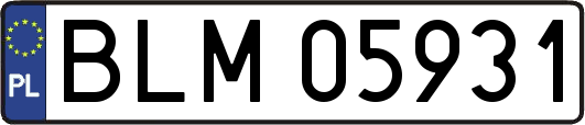 BLM05931