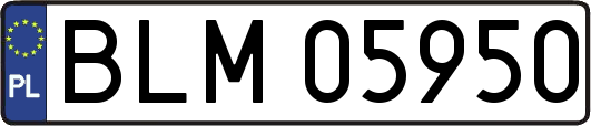 BLM05950