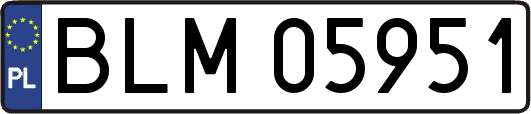 BLM05951