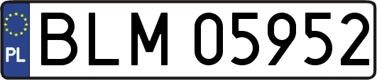 BLM05952