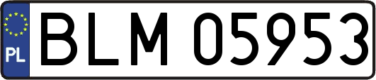 BLM05953