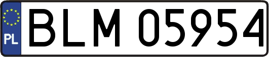 BLM05954