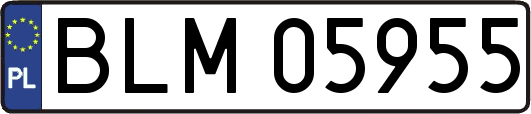 BLM05955
