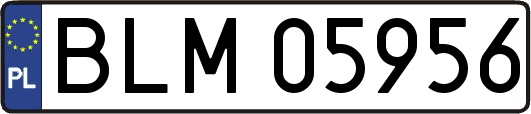 BLM05956