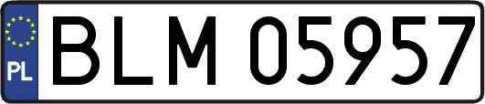 BLM05957