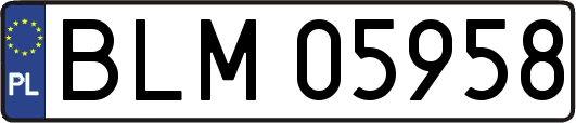 BLM05958