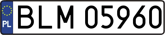 BLM05960