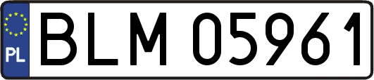 BLM05961
