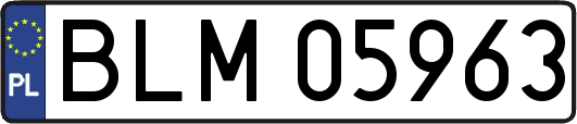 BLM05963