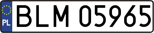 BLM05965