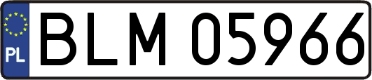 BLM05966