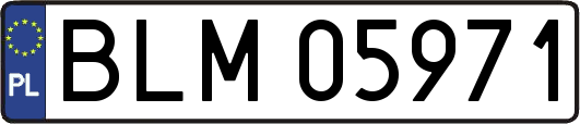 BLM05971