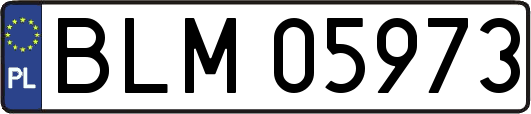 BLM05973