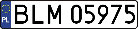 BLM05975