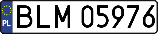 BLM05976