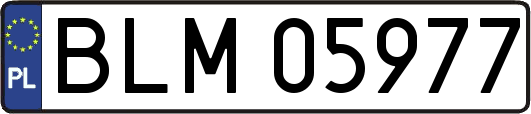 BLM05977
