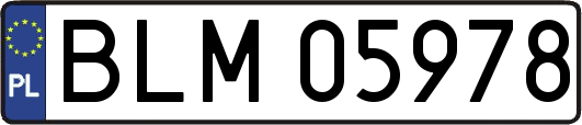 BLM05978